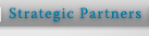 Strategic Partners